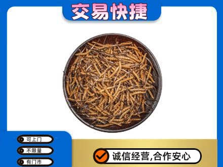 汕头高价回收散虫草